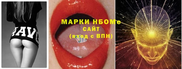 хмурый Алексин