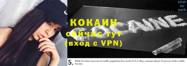 хмурый Алексин