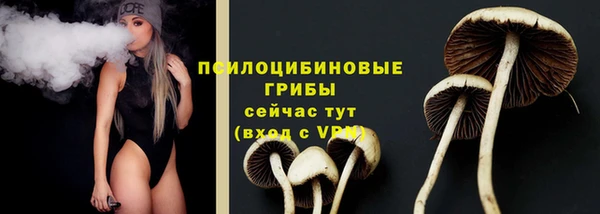 хмурый Алексин