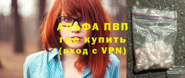 хмурый Алексин