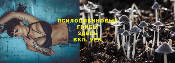 хмурый Алексин
