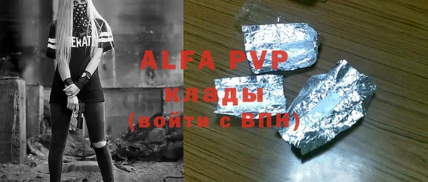 хмурый Алексин