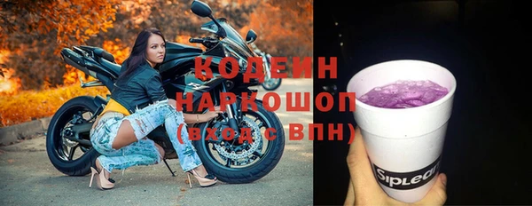 хмурый Алексин