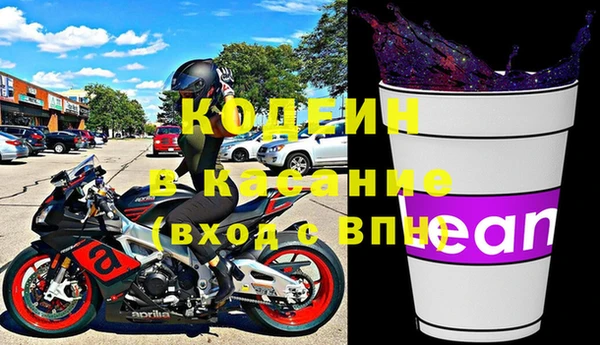 амф Каменка