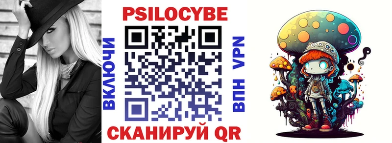 Псилоцибиновые грибы Cubensis Сураж