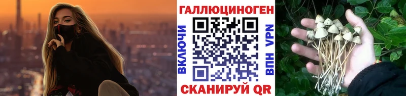 Галлюциногенные грибы GOLDEN TEACHER  Сураж 